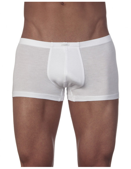 Boxer, Modal, Oscalito 1583