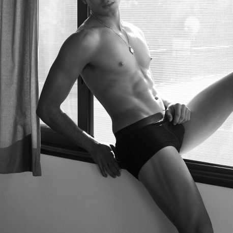 Boxer, HO1-HO1, Hom 359520-0004