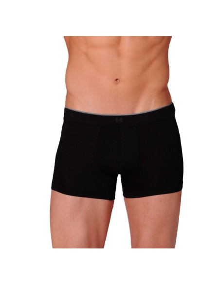 Boxer, Modal Sensation, HOM 10126954