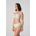 String Luxueux, Alalia, Prima Donna 0663241-FDP