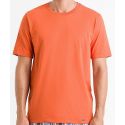 Tee-Shirt Col Rond Manches Courtes 100%Coton, Living Shirt, Hanro 075050-1298
