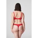 String, Deauville, Prima Donna 0661816-SCA