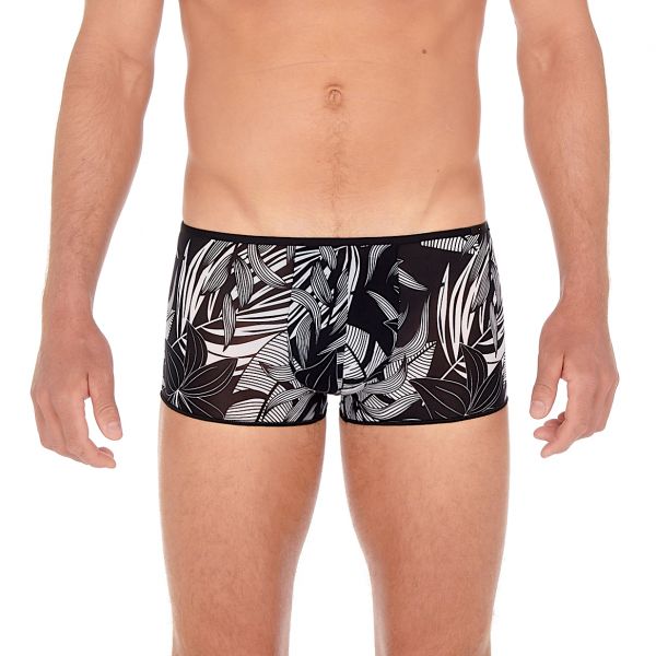 Trunk, Bendor, Hom 405716-P004