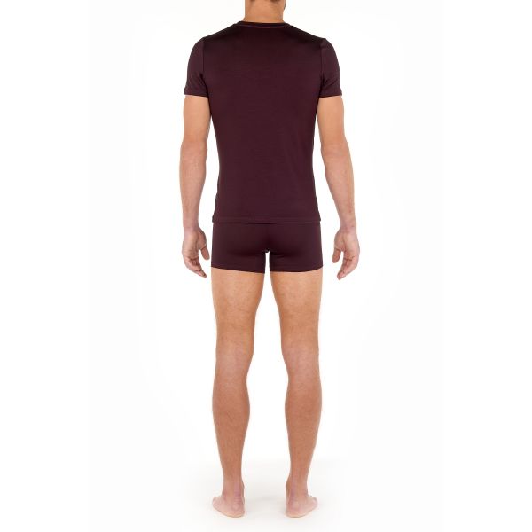 Tee-Shirt Col V, Tencel Soft - Bordeaux, Hom 402466-00ZQ