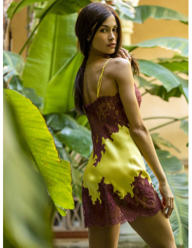 Babydoll, Pearl, Marjolaine 3PEA0102-3157