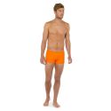 Slip De Bain Short,Sea Life, Hom 402535-1035