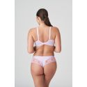 String Luxueux, Palace Garden, Prima Donna 0663211-PTL