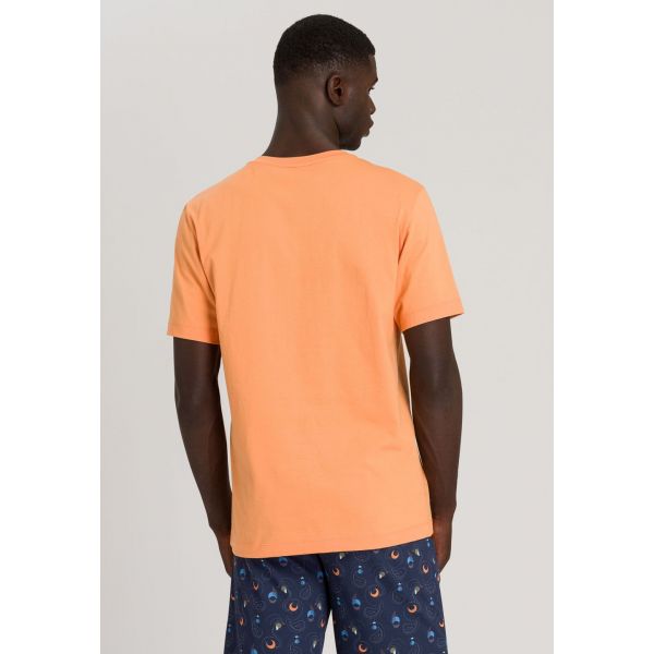 Tee-Shirt Col Rond Manches Courtes 100%Coton, Living Shirt, Hanro 075050-2273