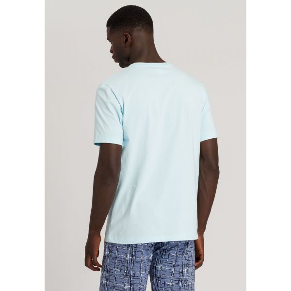 Tee-Shirt Col Rond Manches Courtes 100%Coton, Living Shirt, Hanro 075050-2506