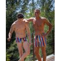 MINI SWIM BRIEFS, Bamboo, Hom 402548-R023
