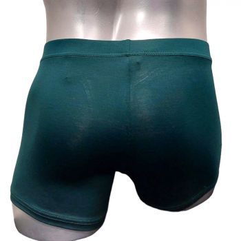 Boxer Confort HO1, Tencel Soft - Vert, Hom 402465-00DG 2