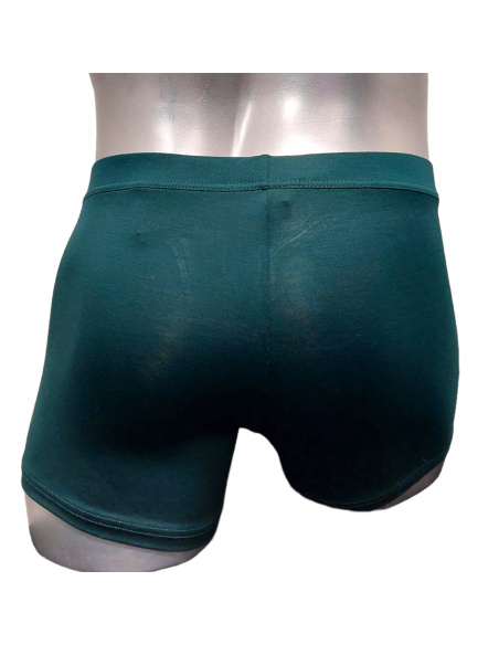 Boxer Confort HO1, Tencel Soft - Green, Hom 402465-00DG