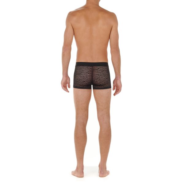 Boxer, Arizona, Hom 402648-J004