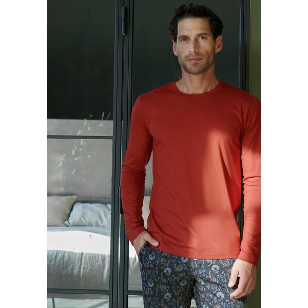 Tee-Shirt Manches Longues, Living Shirts, Hanro, 075053-2422