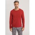 Tee-Shirt Manches Longues, Living Shirts, Hanro, 075053-2422