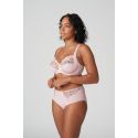 Slip Taille Haute, Deauville - Vintage Pink, Prima Donna 0561816-VIP