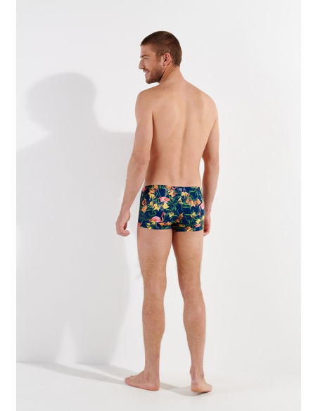 Swim boxers, Flamingo, Hom 402765-P0RA