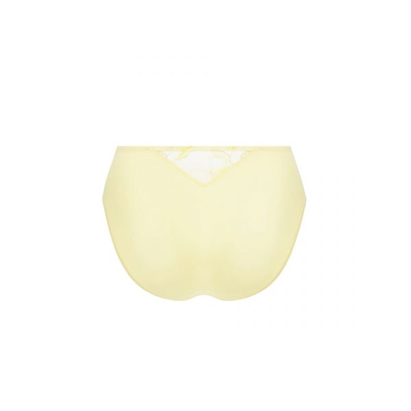 High briefs, Frisson d'Or, ACH0361-OR