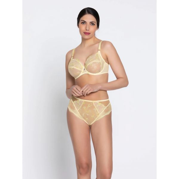 High briefs, Frisson d'Or, ACH0361-OR