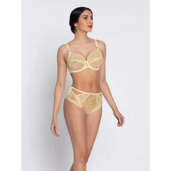 High briefs, Frisson d'Or, ACH0361-OR