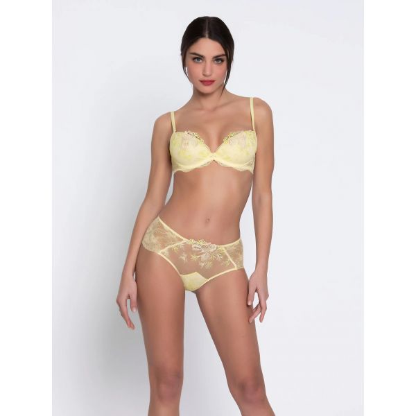Shorty, Frisson d'Or, ACH0461-OR
