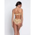 Shorty, Frisson d'Or, ACH0461-OR