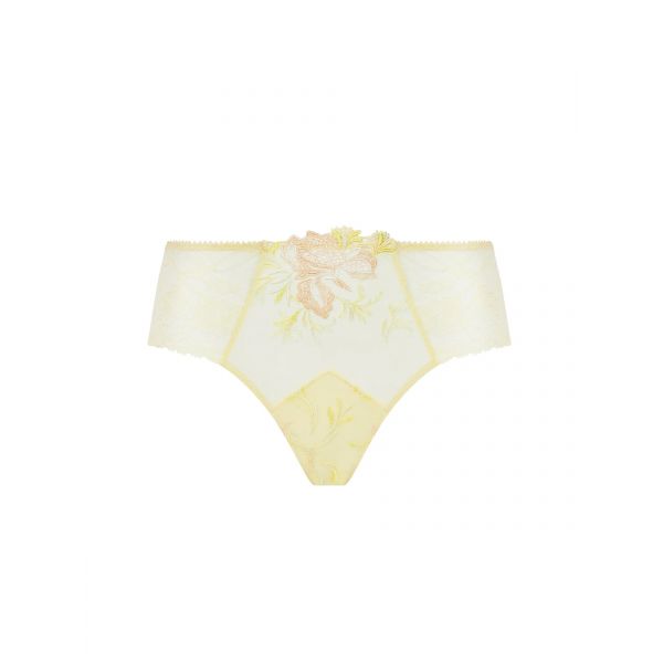 Shorty, Frisson d'Or, ACH0461-OR