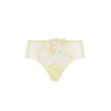 Shorty, Frisson d'Or, ACH0461-OR