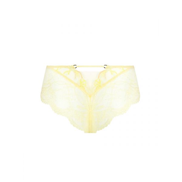 Shorty, Frisson d'Or, ACH0461-OR
