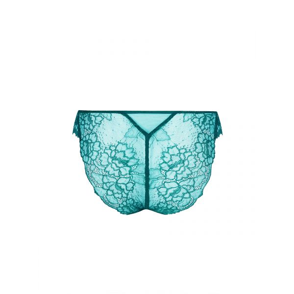 Seduction briefs, Sublime en Dentelle - Vert Princesse, Lise Charmel ACH0713-PR