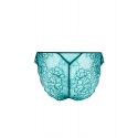 Seduction briefs, Sublime en Dentelle - Vert Princesse, Lise Charmel ACH0713-PR