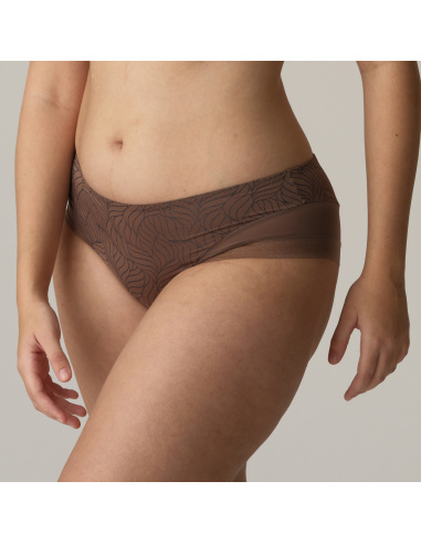 Hotpants, Ajusco-Caribe, Prima Donna Twist 0542402-CBT