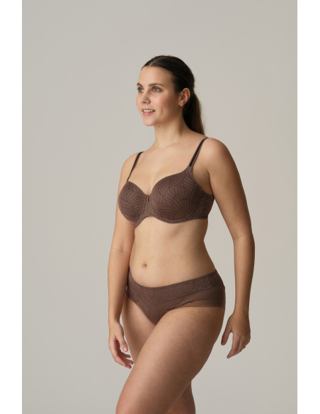 Hotpants, Ajusco-Caribe, Prima Donna Twist 0542402-CBT