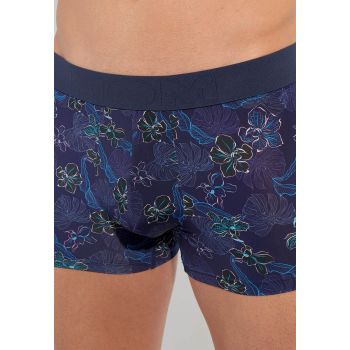 Boxer, Maldives, Hom 402855-P0RA