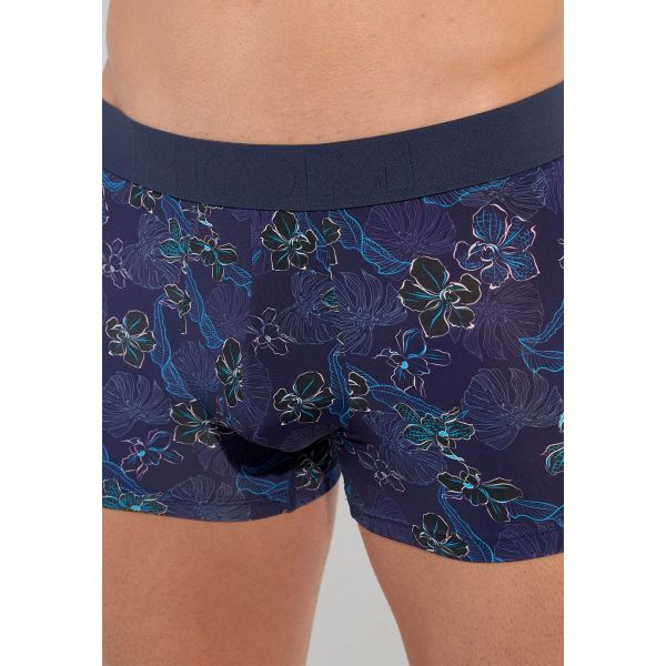 Boxer, Maldives, Hom 402855-P0RA