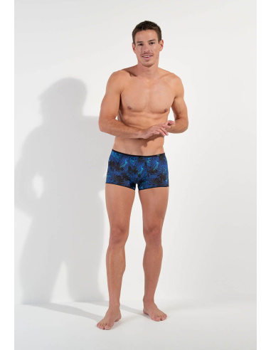 Trunk, Palay, Hom 402862-P004