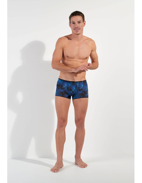 Trunk, Palay, Hom 402862-P004