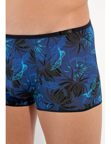 Trunk, Palay, Hom 402862-P004