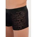 Trunk, Free Cut Lace, Hom 402888-0004