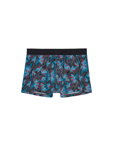 Boxer HO1, HanoÏ, Hom 402859-P284