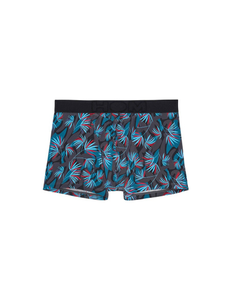 Boxer HO1, HanoÏ, Hom 402859-P284