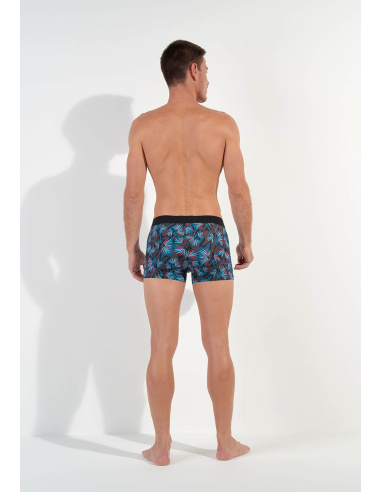 Boxer HO1, HanoÏ, Hom 402859-P284