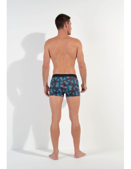 Boxer HO1, HanoÏ, Hom 402859-P284