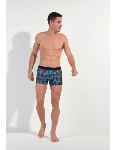 Boxer HO1, HanoÏ, Hom 402859-P284