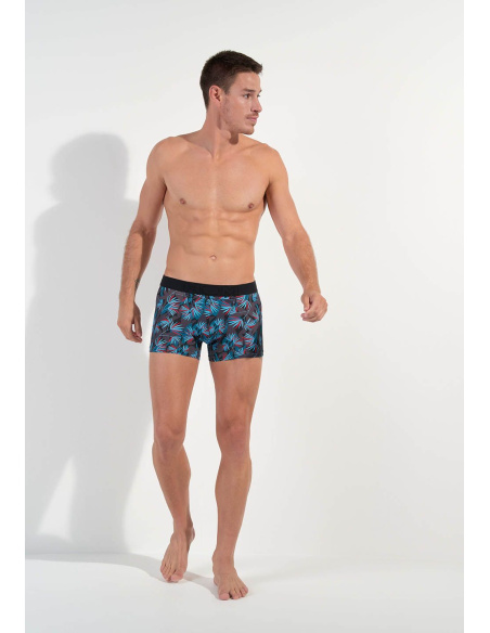 Boxer HO1, HanoÏ, Hom 402859-P284