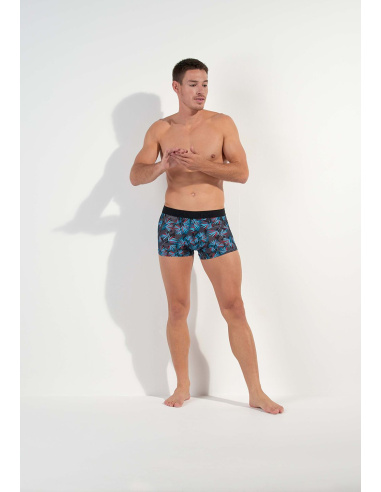 Boxer HO1, HanoÏ, Hom 402859-P284