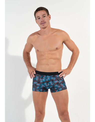 Boxer HO1, HanoÏ, Hom 402859-P284