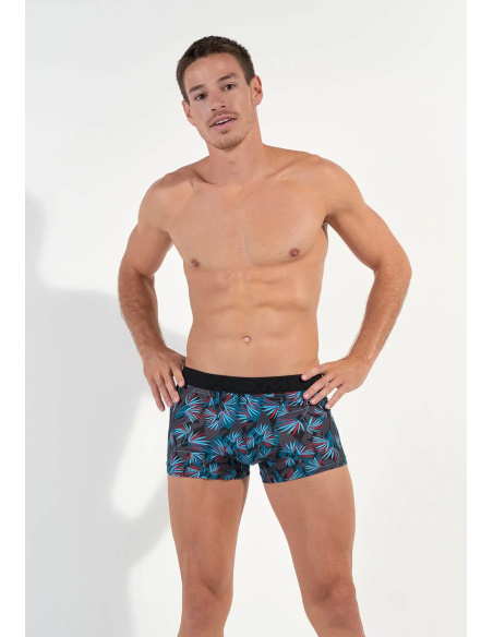 Boxer HO1, HanoÏ, Hom 402859-P284