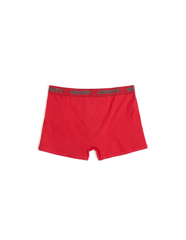 Boxer, Collection Noël, Ad Selection 48617E-ROUGE