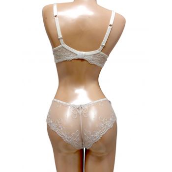 Shorty, Diamond, Ambra 1536-002 2